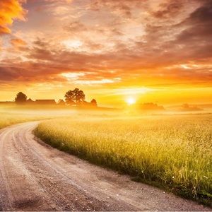 Unlisted items for live show!! Pic not for sale!